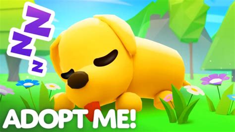 adopt me roblox lihat level booster aov & Ajak teman topup untuk topup cepat Anda image 3